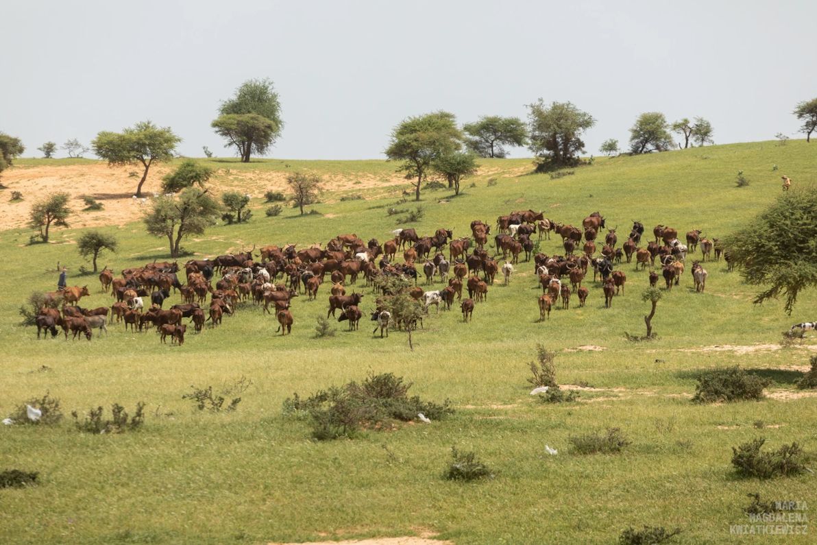 Gallery image Obiektyw