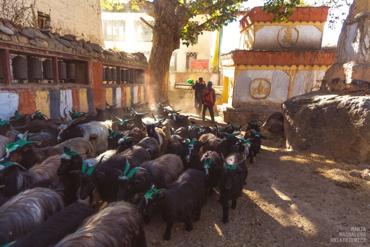 Gallery image Obiektyw