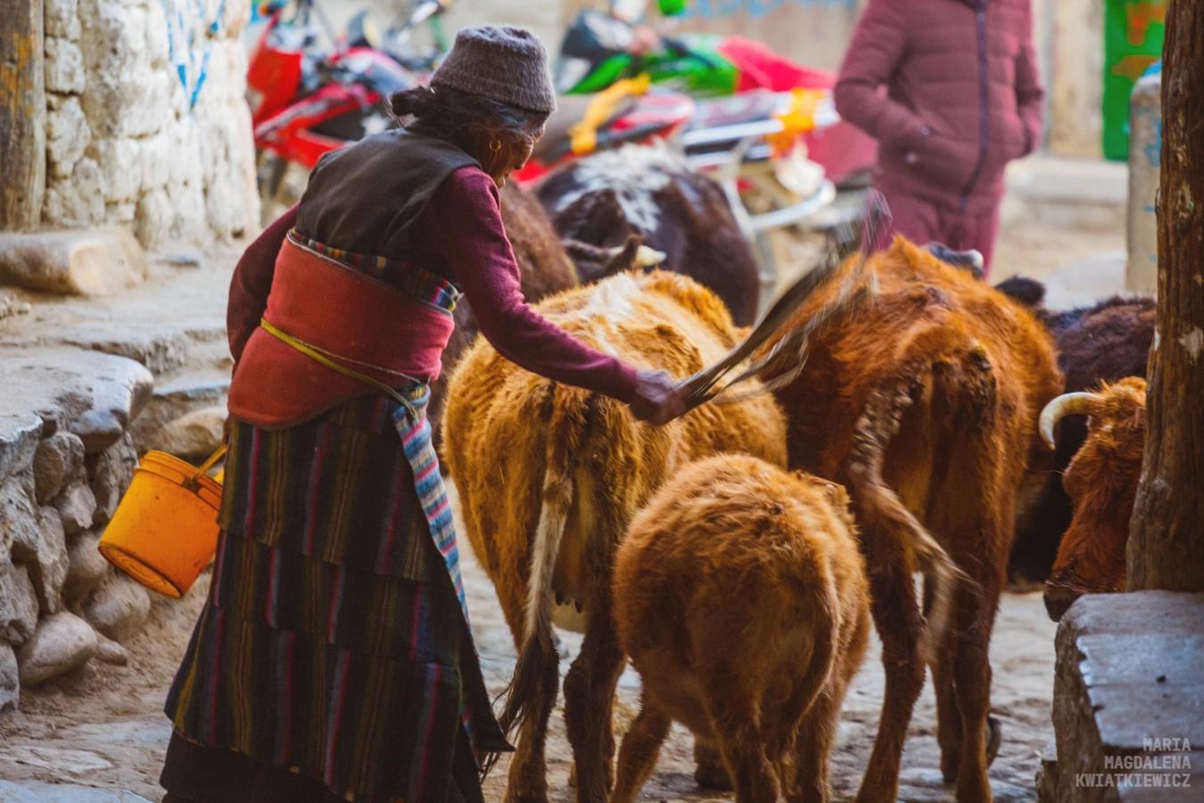 Gallery image Obiektyw