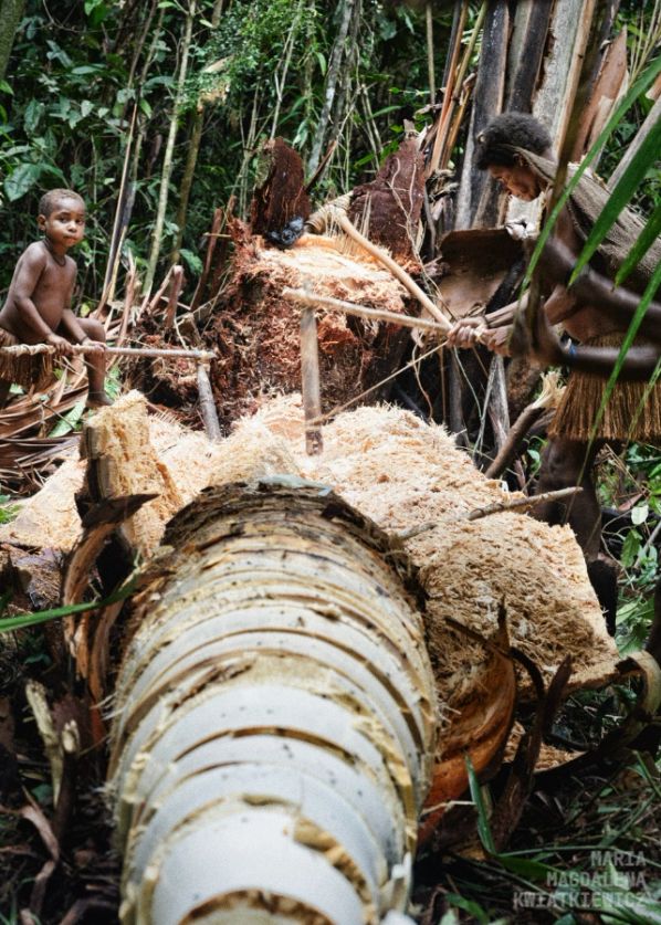 Gallery image Obiektyw