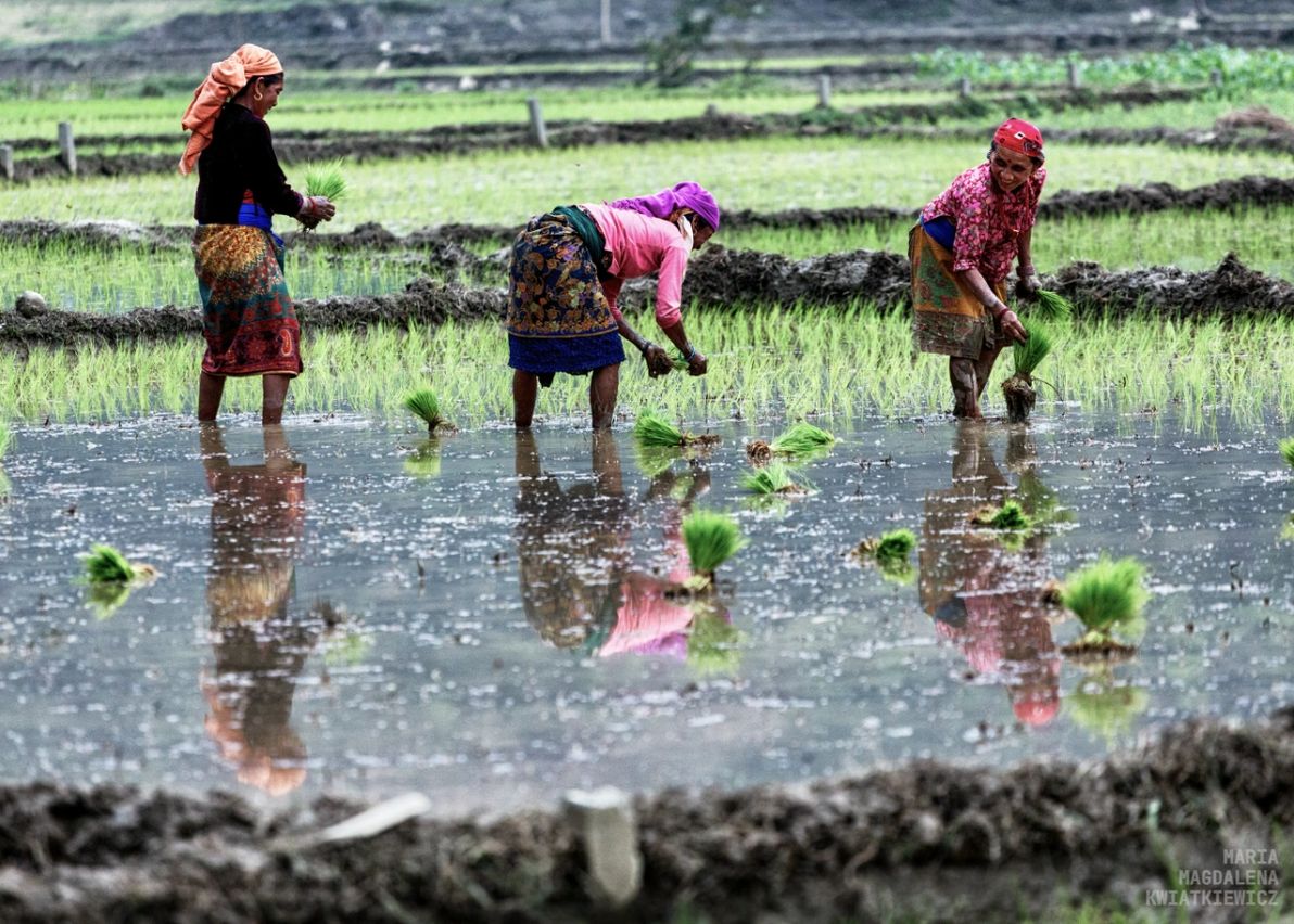 Gallery image Obiektyw