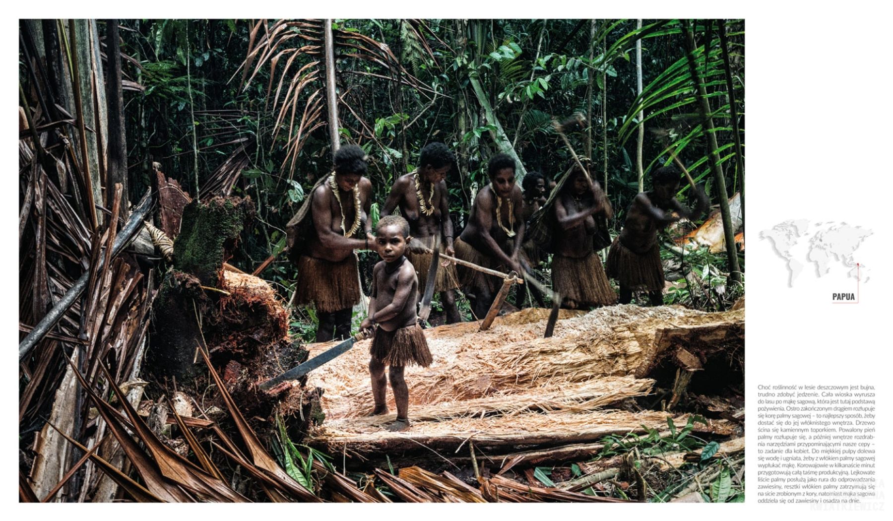 Gallery image Obiektyw