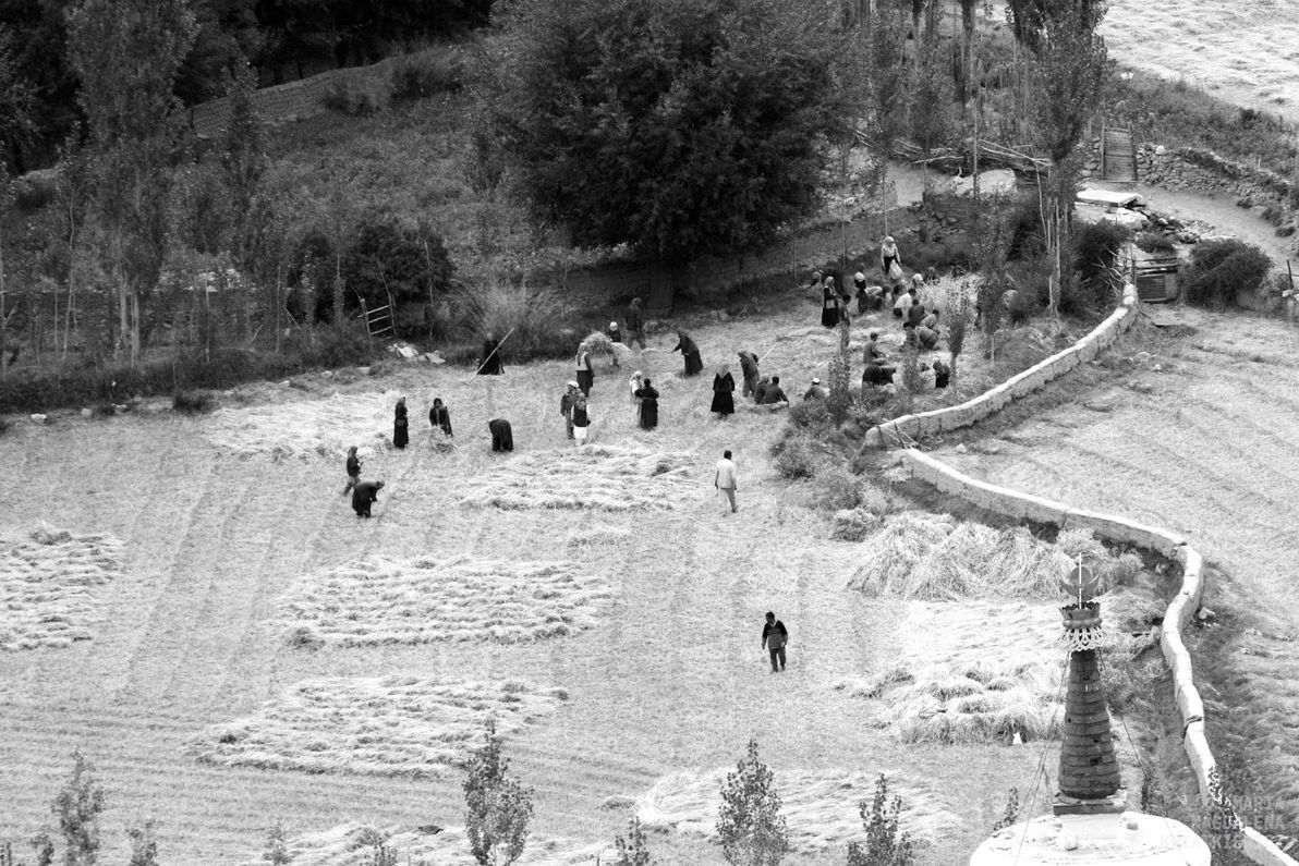 Gallery image Obiektyw