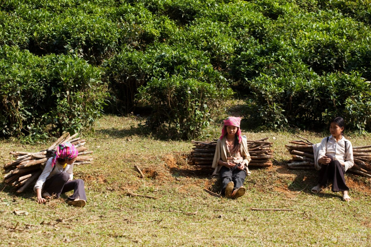 Gallery image Obiektyw