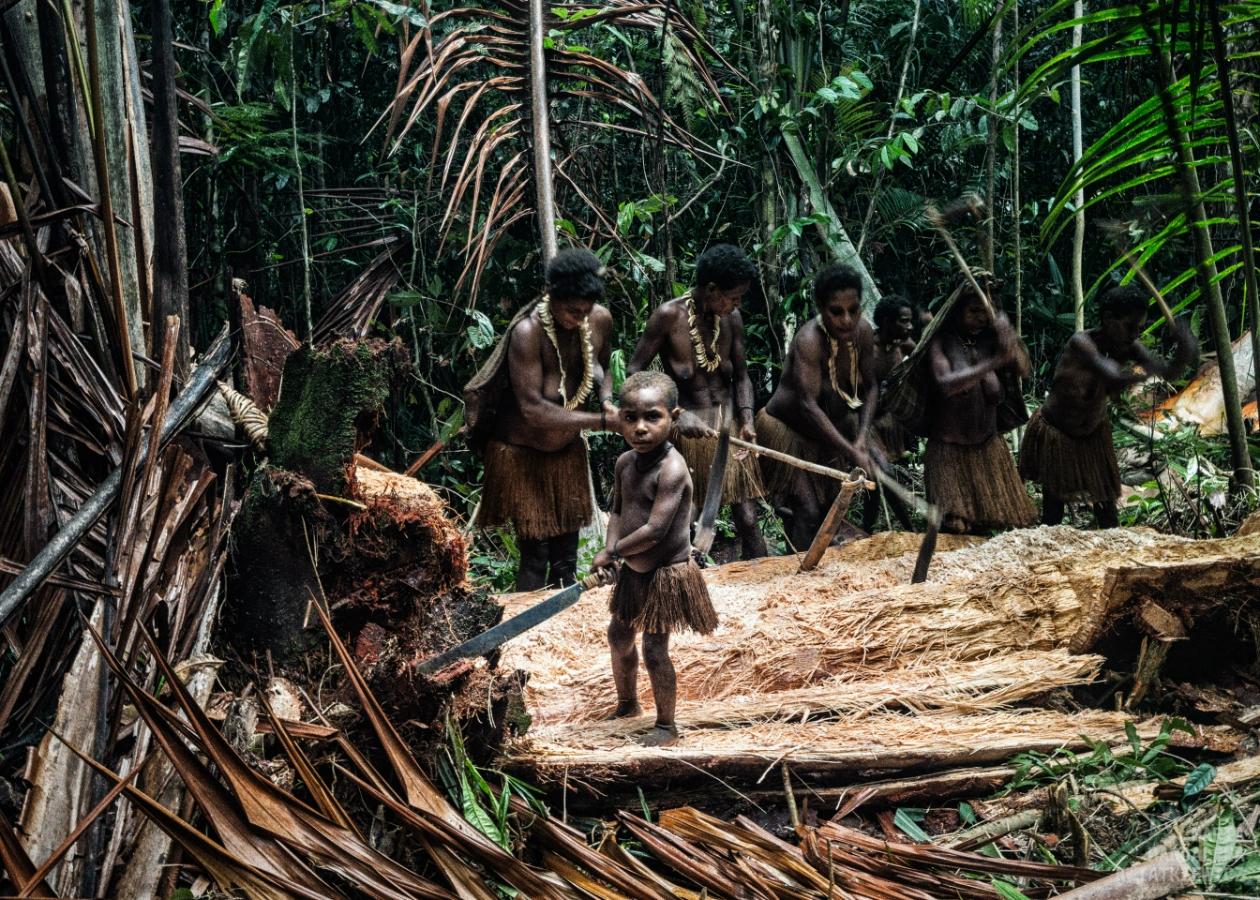 Gallery image Obiektyw