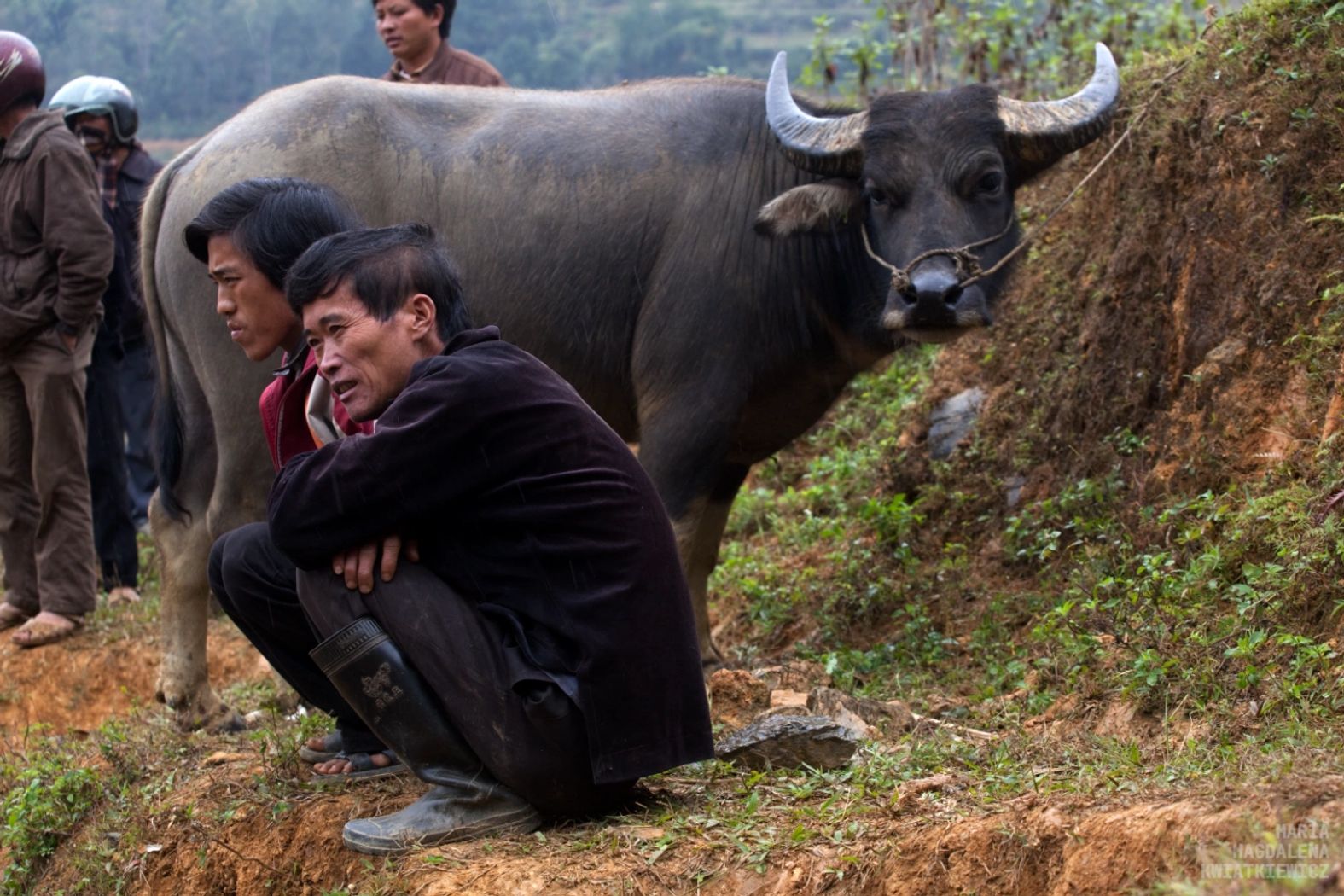 Gallery image Obiektyw