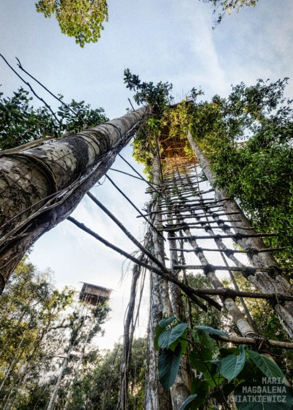 Gallery image Obiektyw