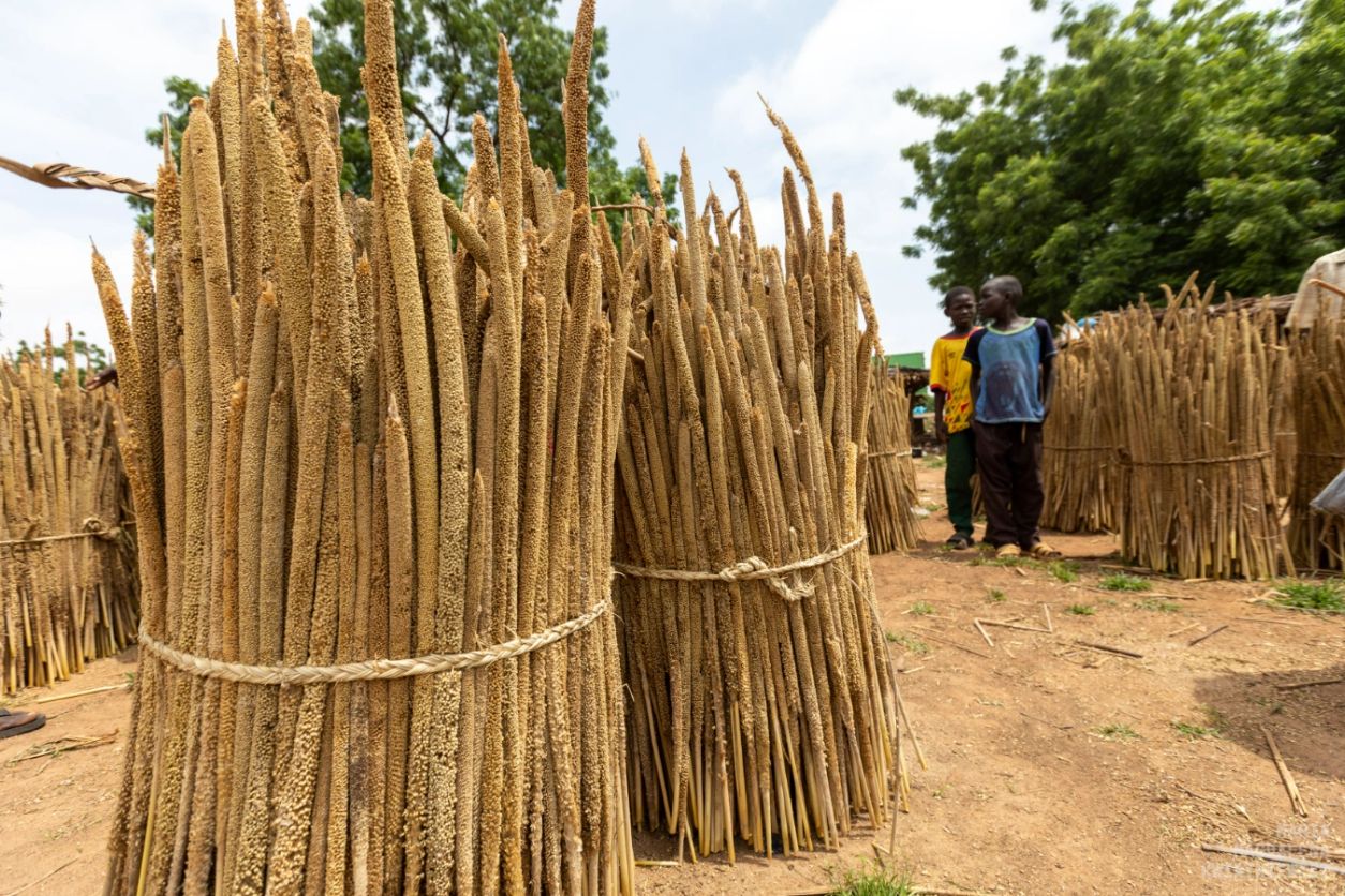 Gallery image Obiektyw