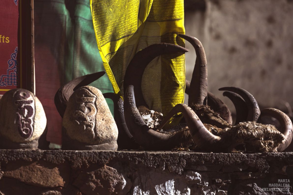 Gallery image Obiektyw