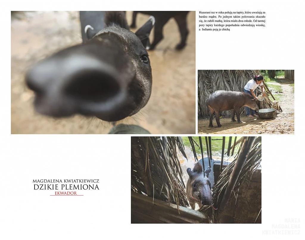 Gallery image WILD TRIBES – ECUADOR