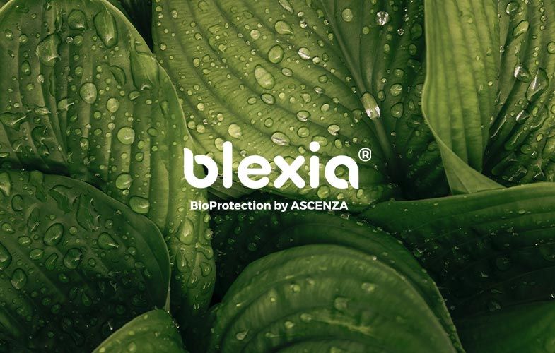 La nuova frontiera per la Bioprotezione delle colture: BLEXIA
