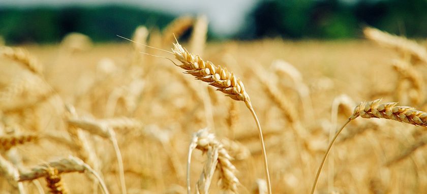 Joystick®: partner ideale per ogni esigenza