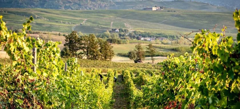 Oltrepò Pavese e la gestione integrata dei vigneti - Puntata 01 Ascenza On The Road