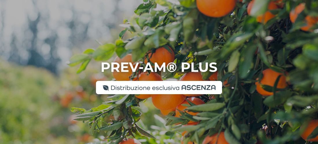 PREV-AM-Plus: distribuzione esclusiva per ASCENZA Italia
