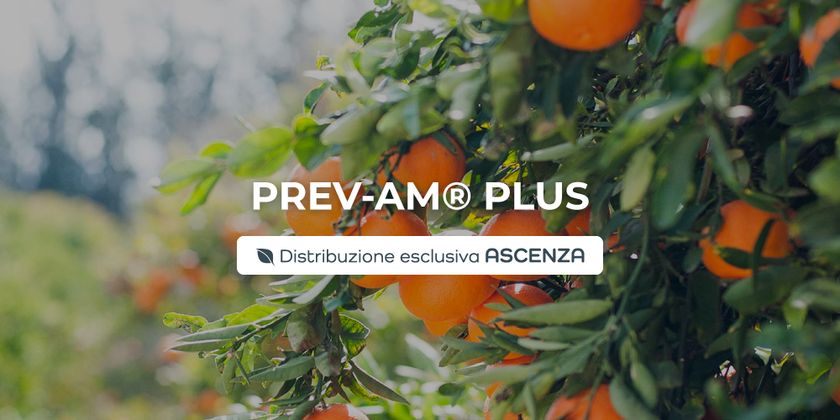 PREV-AM-Plus: distribuzione esclusiva per ASCENZA Italia