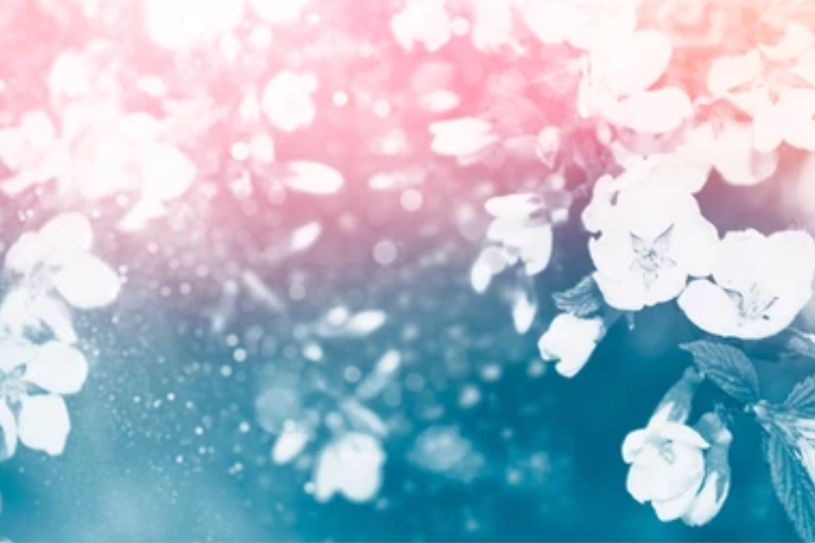 Essay by a Manchu girl in Tibet: Finding My Chinese Identity