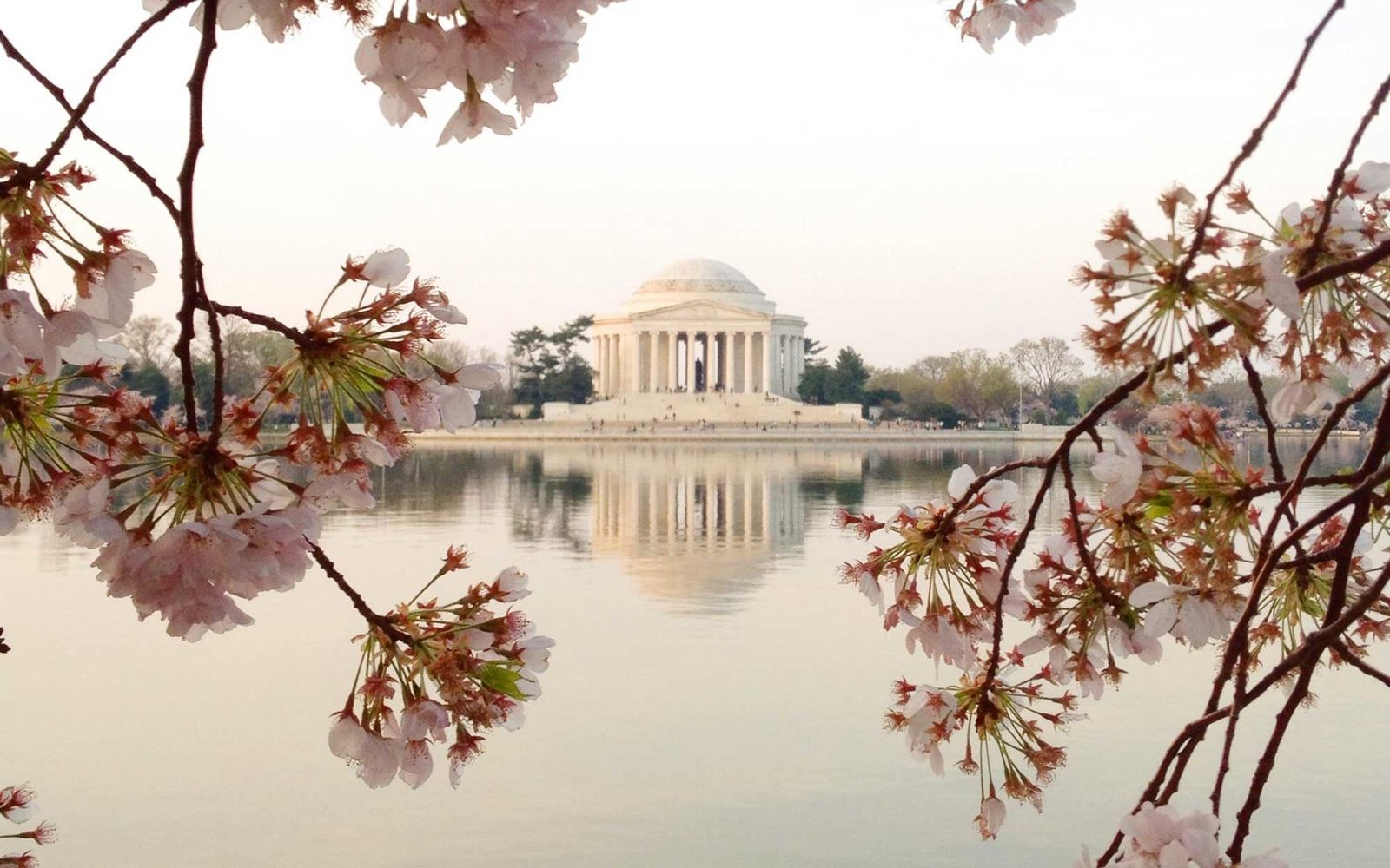 NüYear Drinks in DC - Welcome NüVoices to the US Capital!