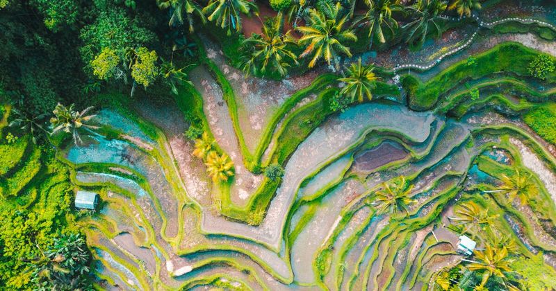 Indonesia Bali rice terraces — visa-free for Indian passport holders since 2024 no fee required 30 days.
