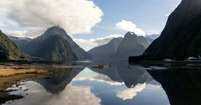 New Zealand Milford Sound fiord aerial — cheapest flights India to New Zealand 2026 Singapore layover comparison.