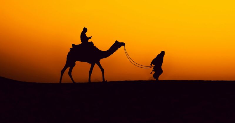Rajasthan sunset landscape — the 14-day Royal Circuit covers Jaipur, Jodhpur, Udaipur and Jaisalmer across India's largest state.