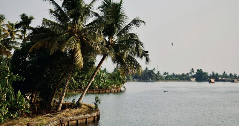 Kerala houseboats on Vembanad Lake, Alleppey — the backwaters circuit is the anchor of the South India first-timer itinerary; overnight houseboat from ₹8,500 for two all-inclusive