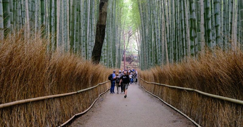 Kyoto Japan Arashiyama bamboo forest — open-jaw strategy Osaka KIX in Tokyo HND out eliminates Shinkansen backtrack India to Japan 2026.