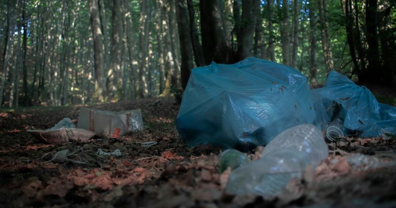 Plastic pollution on Indian trekking trail
