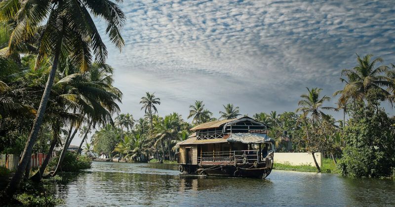 Kerala in 7 Days: Backwaters, Hill Stations, Beaches and Spice Farms in One Loop