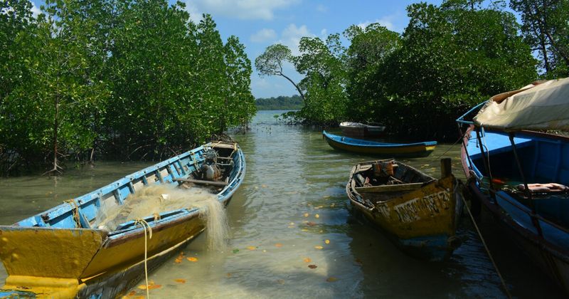 A wooden boat on an Andaman Islands beach — the 572-island archipelago in the Bay of Bengal has 1,300 kilometres of separation from the Indian mainland and more than 900 kilometres of coastline, of which barely 10% is accessible to tourists