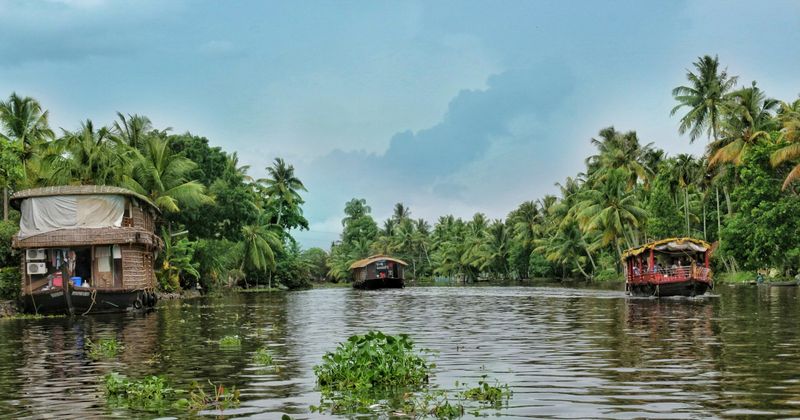 Kerala houseboat on the Alleppey backwater canals — South India's gentler pace, lower scam density and extraordinary landscape diversity make it the recommended first India destination for solo travellers and those new to developing-world travel