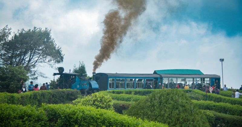 Darjeeling and Sikkim in 8 Days: Tea, Monasteries and the Himalayas Without the Ladakh Altitude