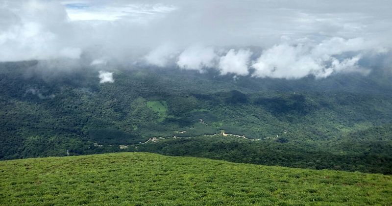 Morning mist in the Western Ghats above Coorg — the characteristic coffee-country morning; mist typically clears by 9am in October–February.