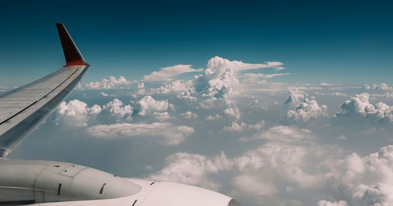 Long-haul flight from USA to India cruising altitude — cheapest month to fly 2026