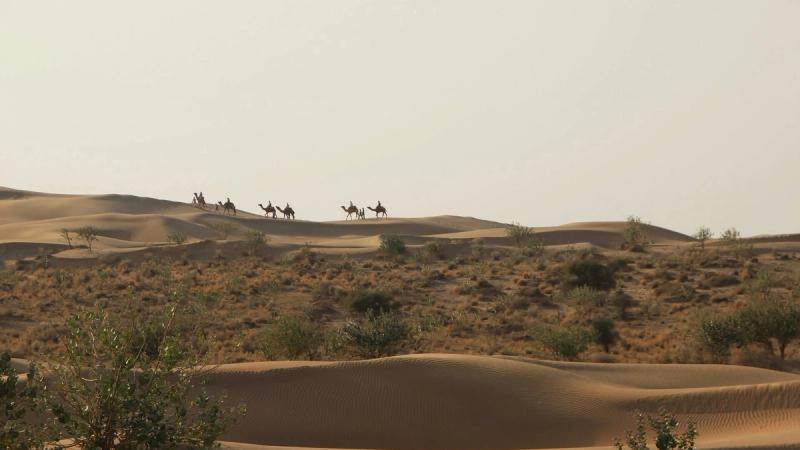 One Month in India: A Realistic Itinerary for Slow Travellers Who Want to Actually Understand the Place