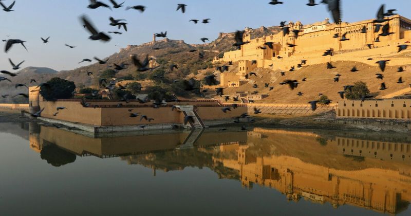 Amber Fort Jaipur reflected symmetrically in Maota Lake at dawn — a UNESCO World Heritage Site and the first stop on the 10-day Rajasthan itinerary from Jaipur to Jaisalmer