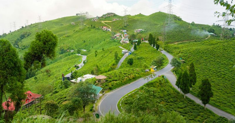 A Darjeeling tea plantation in morning mist — the Darjeeling GI tag (India's first, granted 2004) certifies genuine first flush tea from these specific altitude slopes; global "Darjeeling tea" sales exceed actual Darjeeling production by 5–6x; buy only GI-tagged tea from the plantations