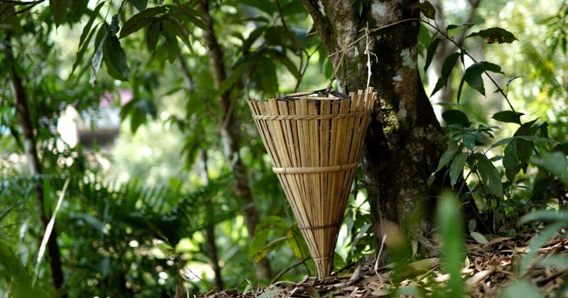 Bamboo dustbin in Mawlynnong village