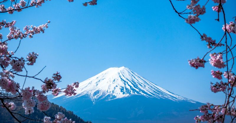 Mount Fuji Japan cherry blossom sakura — avoid cherry blossom season for cheap India to Japan flights 2026 ₹90000+ fares.