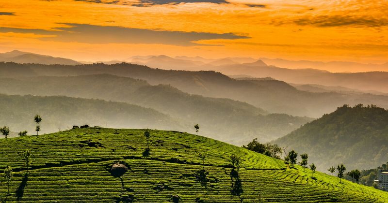 Misty tea plantation hills in Munnar Kerala Western Ghats — Kerala slow travel guide one month India