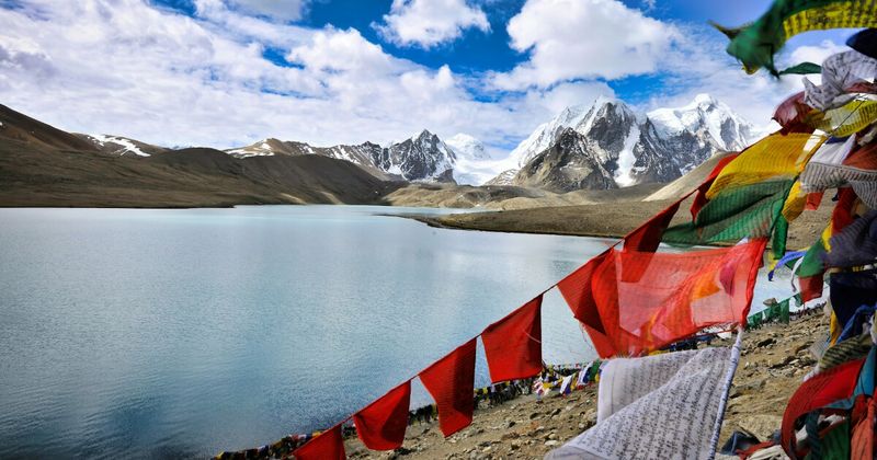 Buddhist prayer flags on a Sikkim ridgeline — the five colours represent sky, air, fire, water, and earth; flags are printed with prayers and mantras and are considered to spread the prayers into the wind with each flutter; they are replaced at Buddhist new year and major festivals; their presence on every ridge, pass, and monastery in Sikkim makes them the visual constant of the entire 8-day circuit