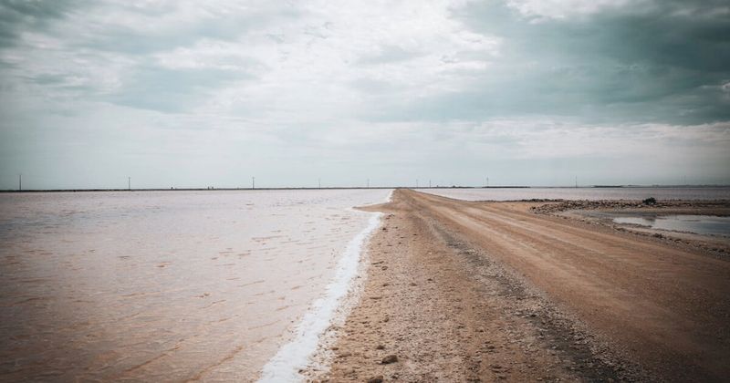 Rann of Kutch white salt desert, Gujarat — the world's largest salt marsh; Rann Utsav tents ₹2,000–3,000/night; full moon nights book weeks ahead; fly into Bhuj (BHJ).