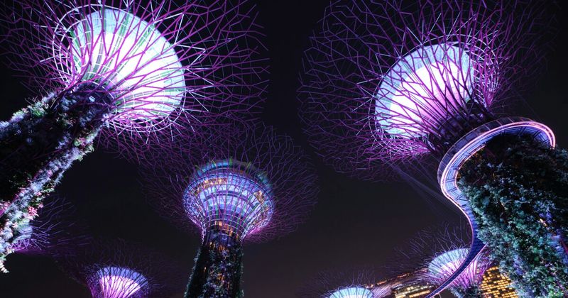 Singapore Gardens by the Bay Supertrees at night — accessible from Mumbai on nonstop flights from ₹20,210 return in September 2026.