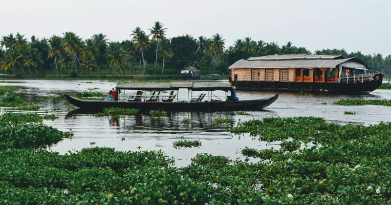 Houseboats on Alleppey Kerala backwaters — Kerala itinerary 2 weeks India trip