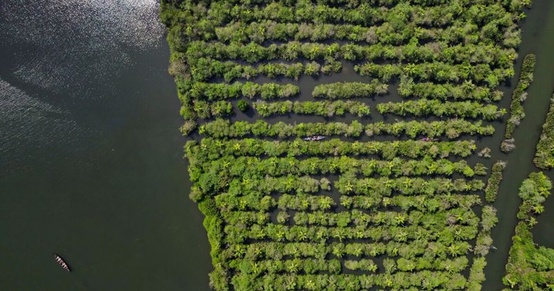 Beyond the Backwaters: The Ultimate Guide to Kerala’s Hidden Gems (2026)