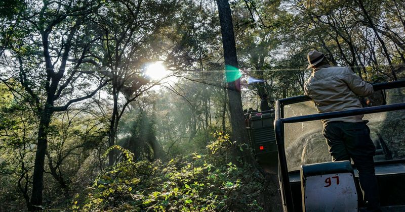 Tourists on jeep safari Ranthambore