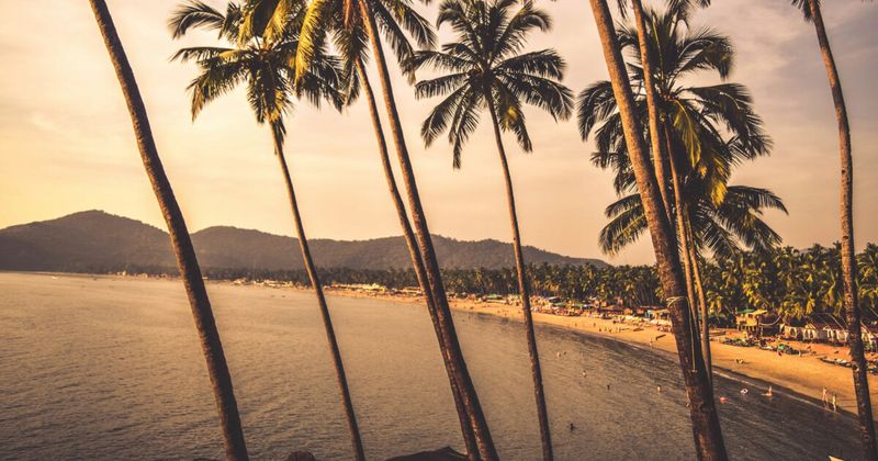  Palolem Beach South Goa with palm trees and crescent bay — best beach for first timers in Goa