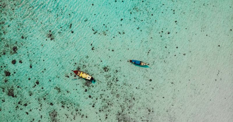 The Andaman Sea between the islands — the extraordinary turquoise water colour is produced by the exceptional clarity of the Bay of Bengal at this latitude and the shallow white-sand seabed visible through 10–15 metres of water; the Andamans' isolation from mainland India means industrial pollution has not reached this far