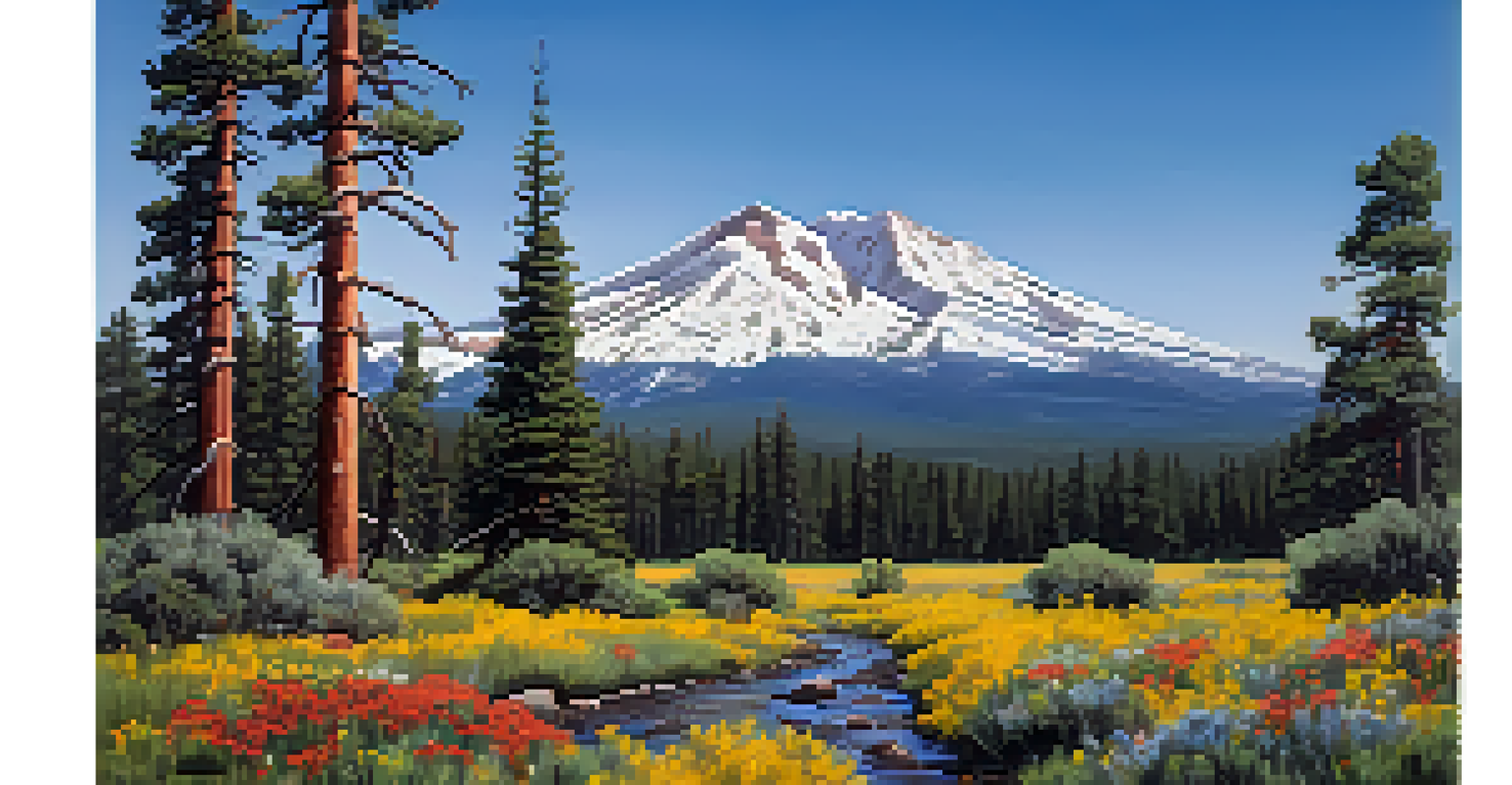 A panoramic view of the San Francisco Peaks with snow caps and colorful wildflowers in the foreground.