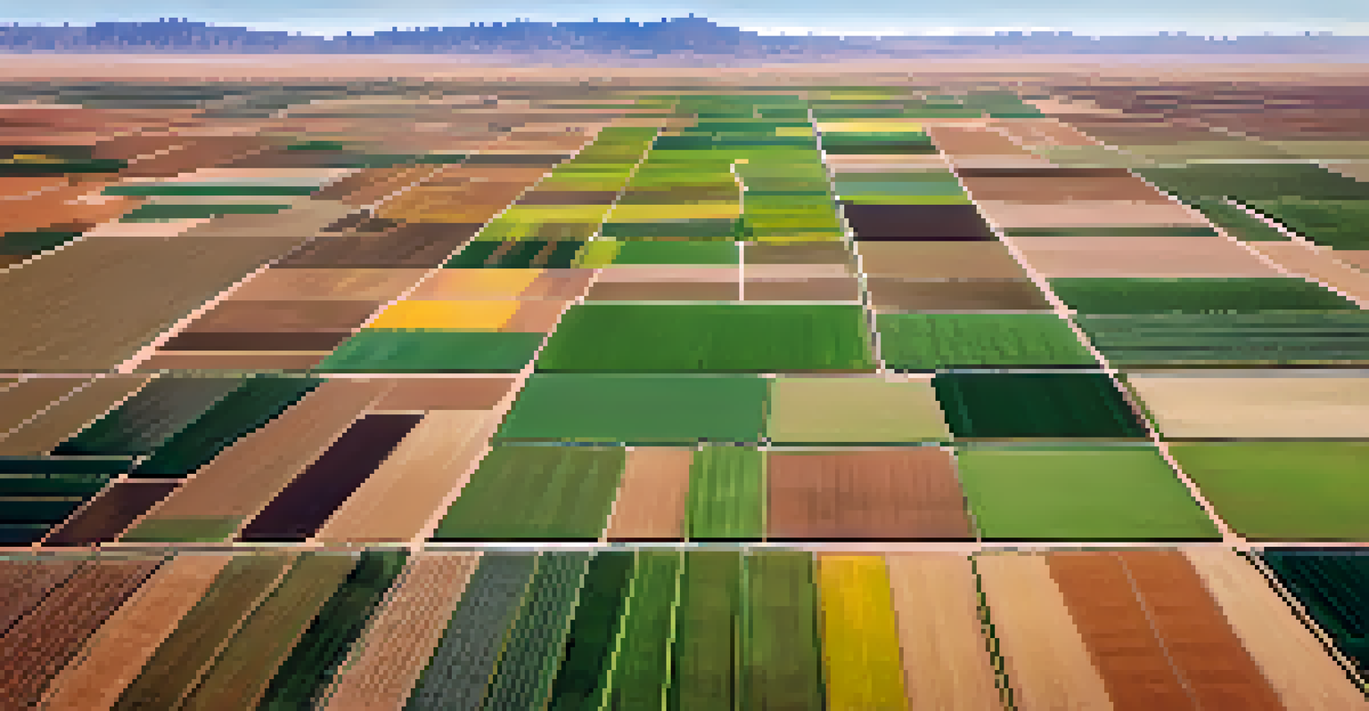 An aerial view of diverse agricultural fields in Arizona with drones monitoring crop health amidst patches of crops against a desert backdrop.