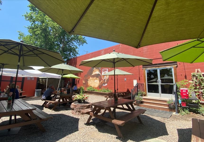 Mountain Toad Brewing
